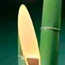 @user474580437