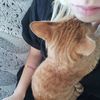 mars.and.venti