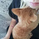 @mars.and.venti