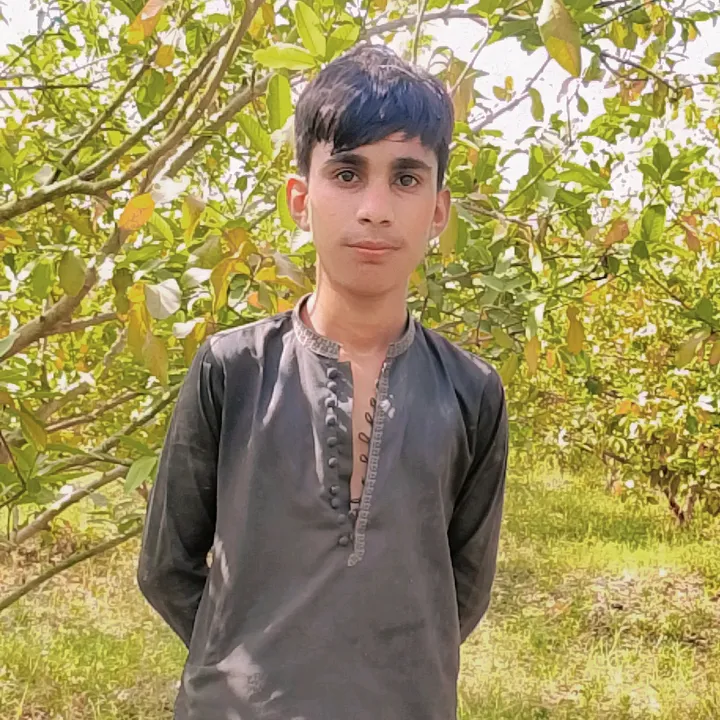 moneer.ahmed94
