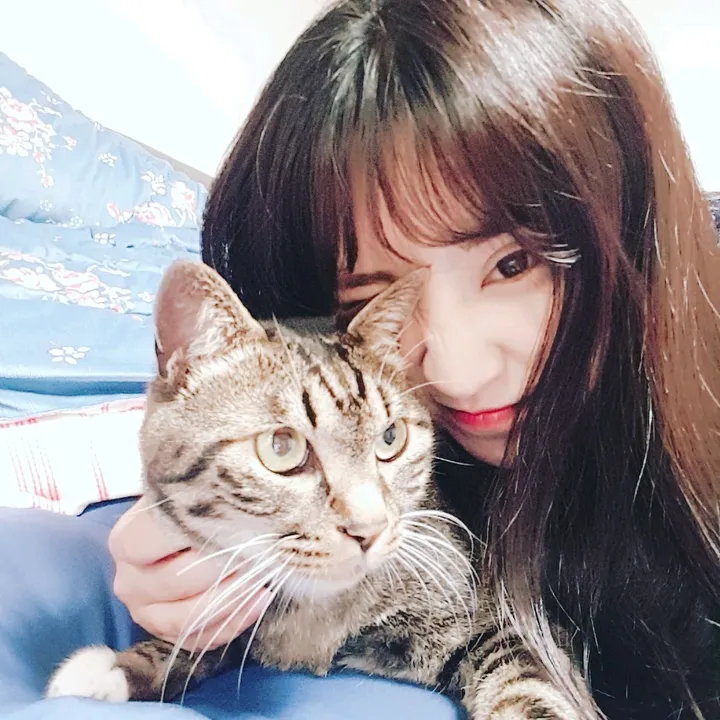 shinhye_petfamily