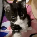 @kittyandso_on