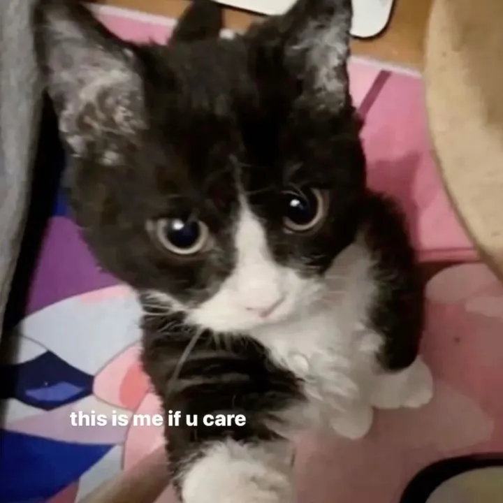 @kittyandso_on