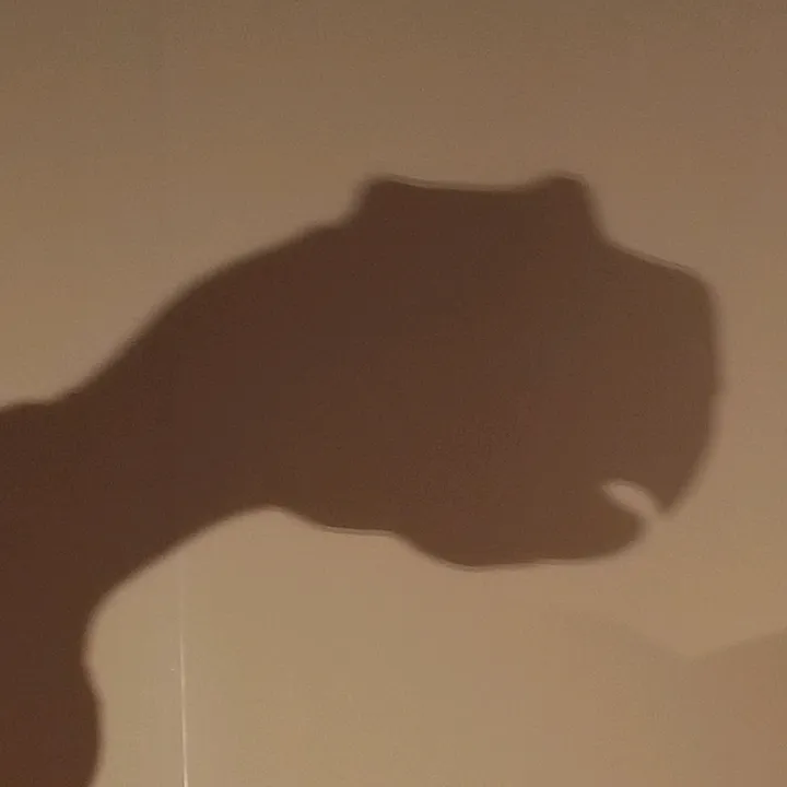 @tanso000000