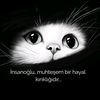 gece_siyahinci
