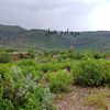faizan_khan368