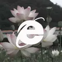 @evasexessence