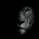 @5in94_j4n74n