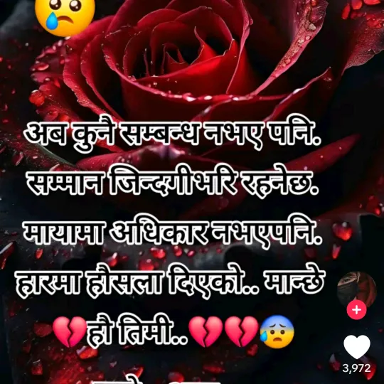 samjhana4772