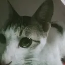 @jm3s47