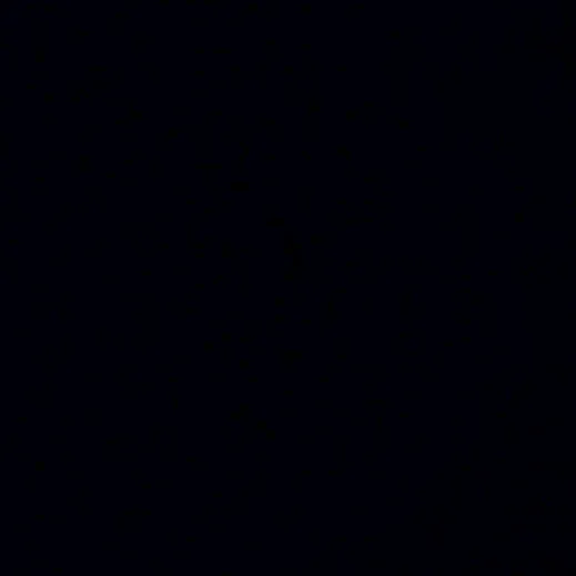 mehdi_kodak73