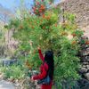 poojasunar231