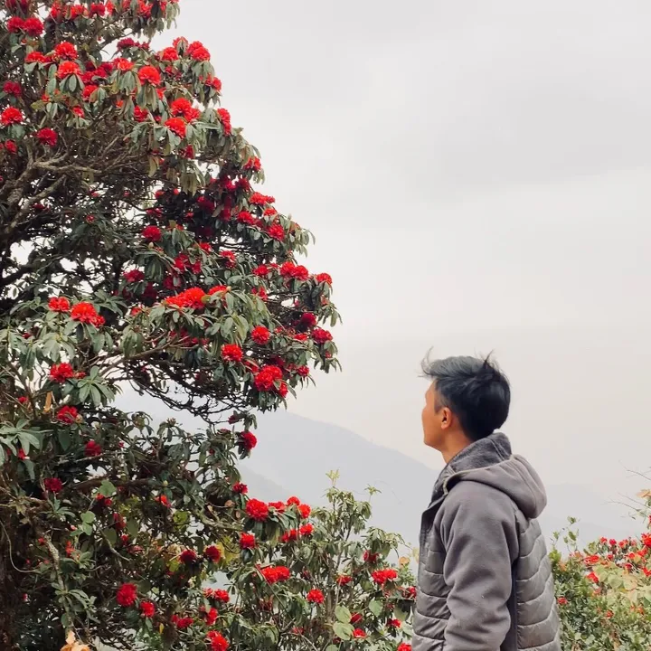 @messisumanmagar10