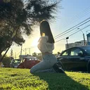 @flom_beln