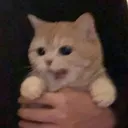 @mely100._