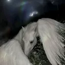 @iblackhorse