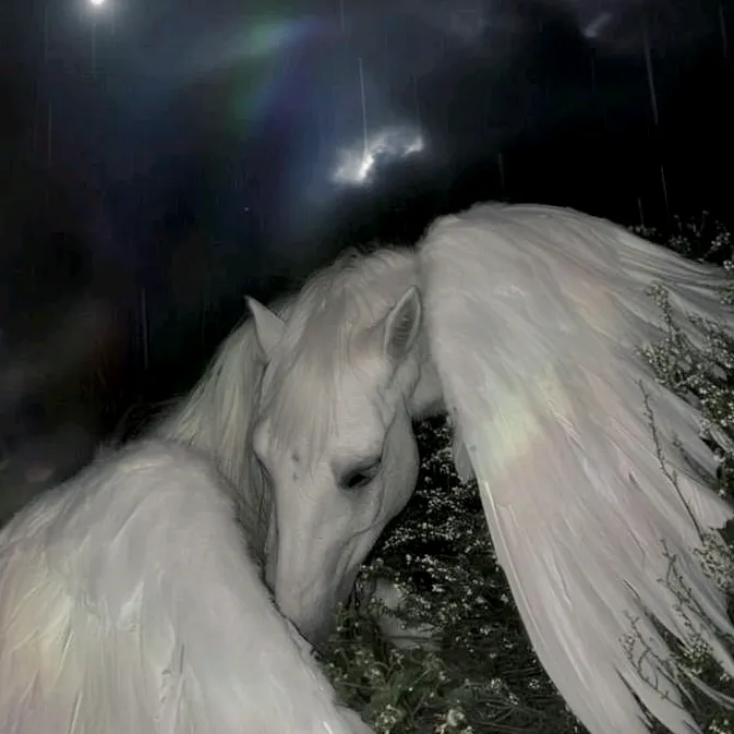 @iblackhorse