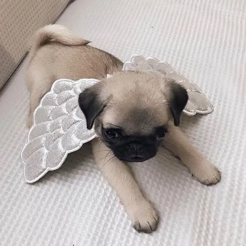 @kissuly.a