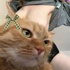 kitti.t3n