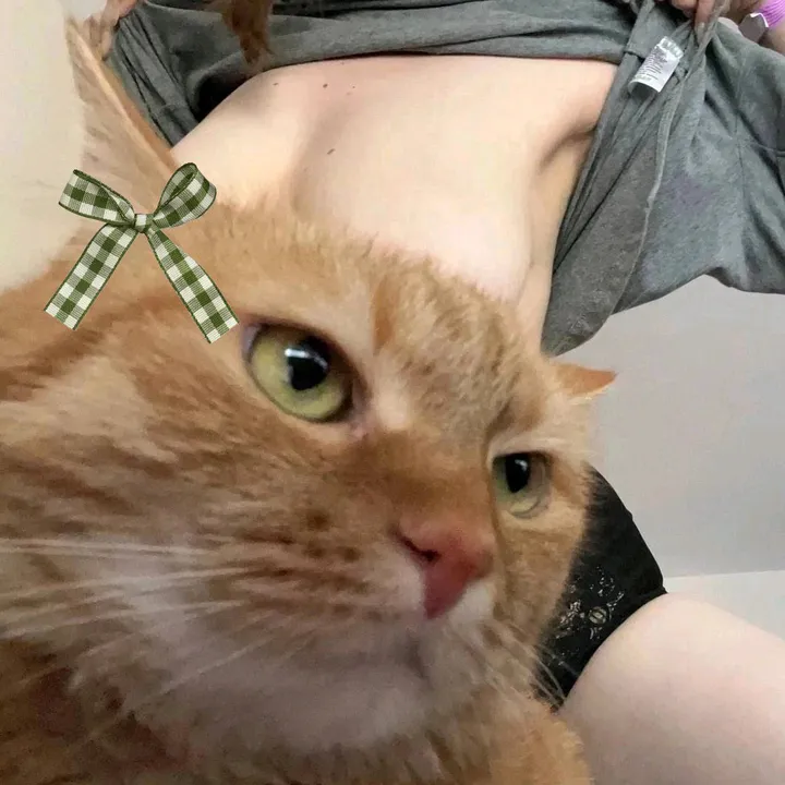 kitti.t3n