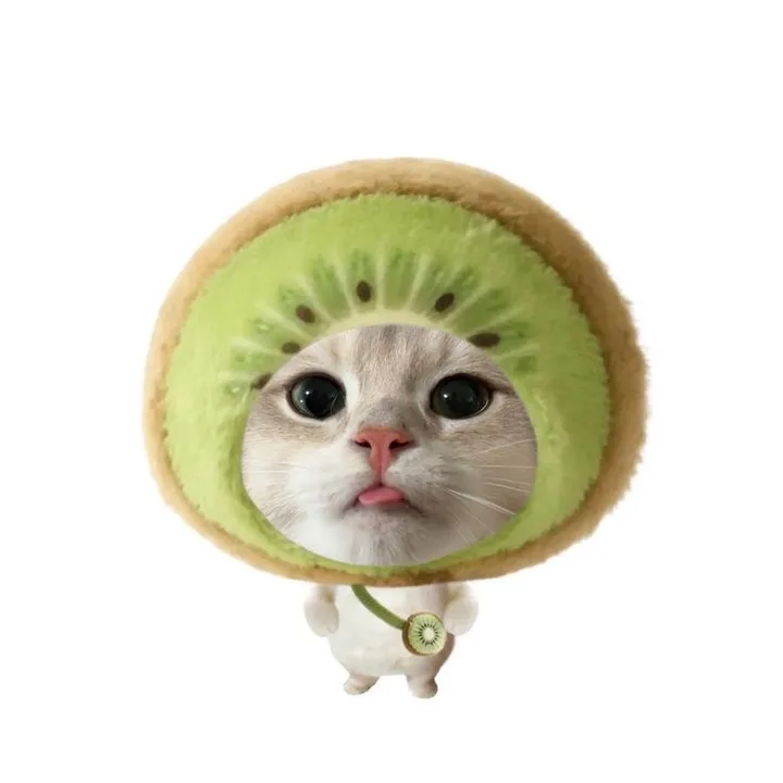 @kiwi60043
