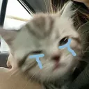 @chxztuna