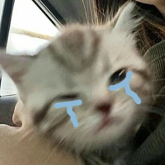 @chxztuna