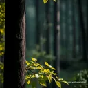 @bouzidi586