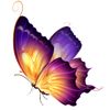 shamshura__