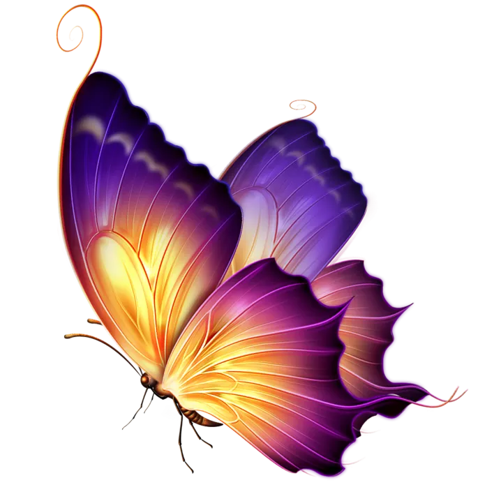 shamshura__