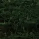 @tribs067