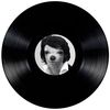 vinyloop