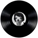@vinyloop
