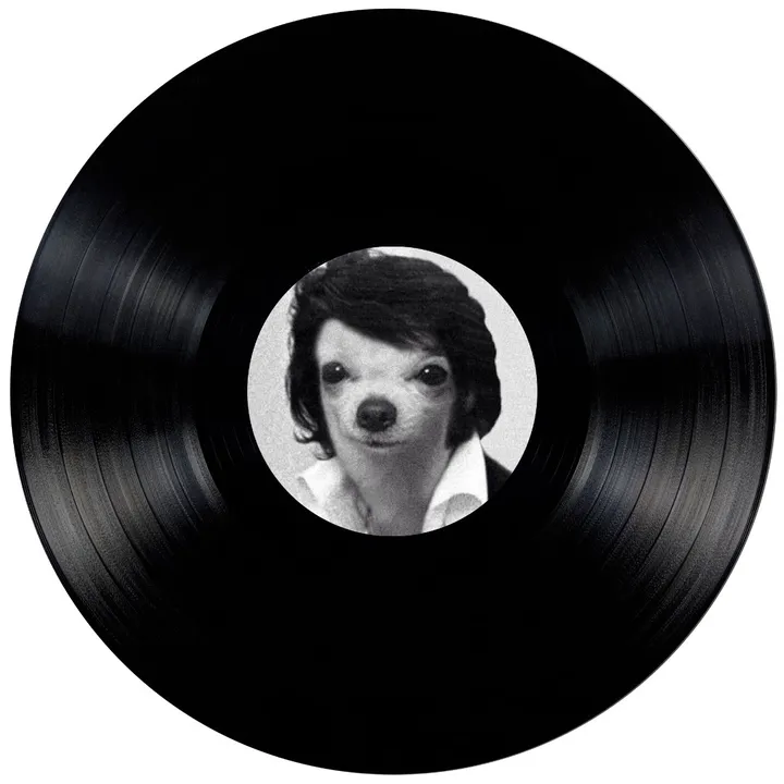 vinyloop