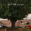 al_raqeeb.alsourchi
