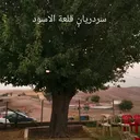 @al_raqeeb.alsourchi