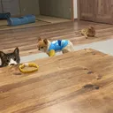 @msmk130