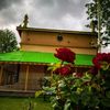 sayed_zada_1104