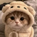 @zakiyatul19