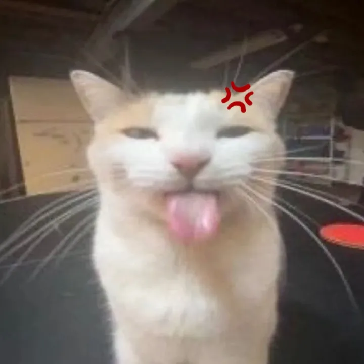 xoxier