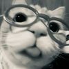 niaaww1111