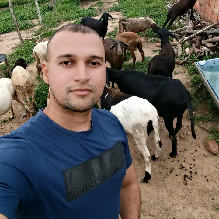 @avicultura.so.joo