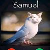 sigma.samuelcatbird2