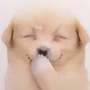 @jammin_164