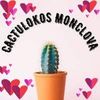 cactulokos.monclo