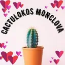 @cactulokos.monclo