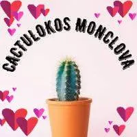 @cactulokos.monclo