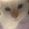 katseye_lover_lara2