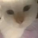@katseye_lover_lara2