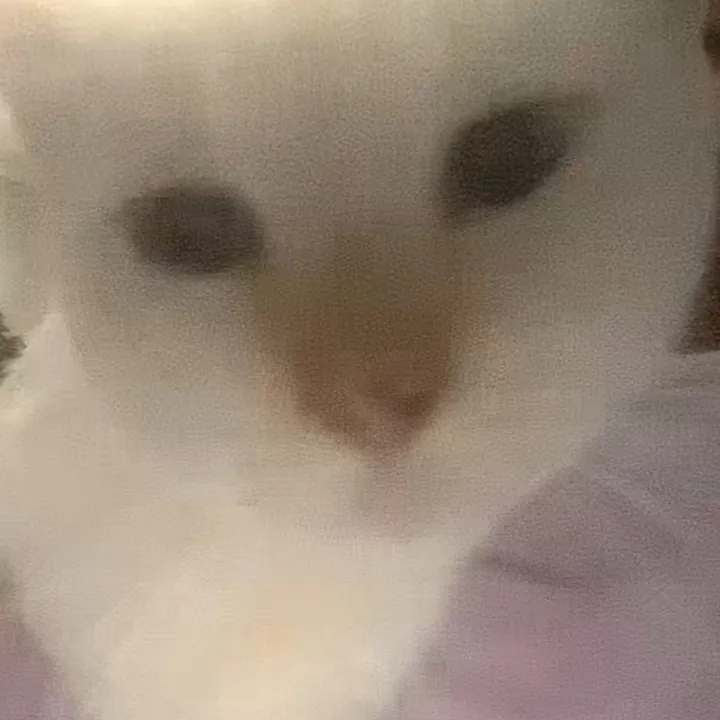 @katseye_lover_lara2